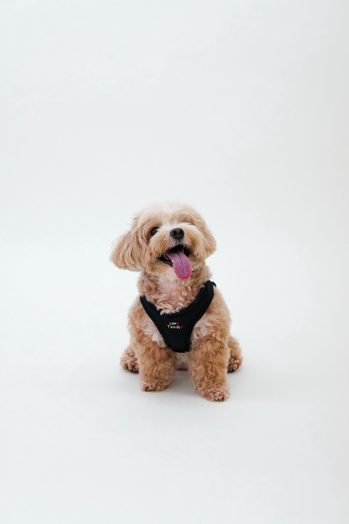 Easy Step Harness