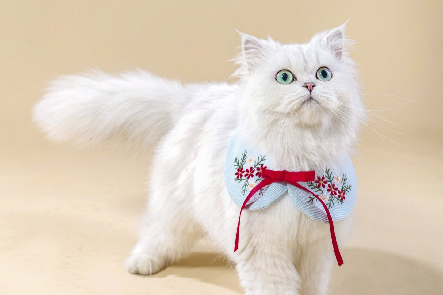 Hana Pet Bib