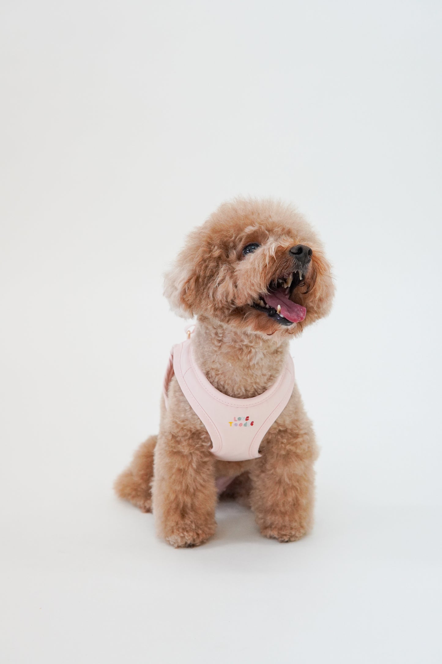 Easy Step Harness