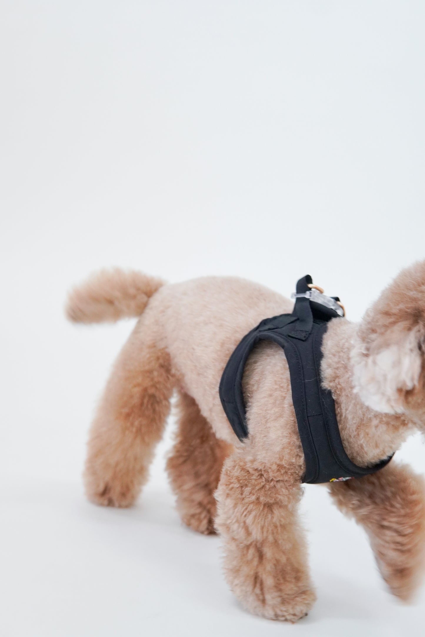 Easy Step Harness