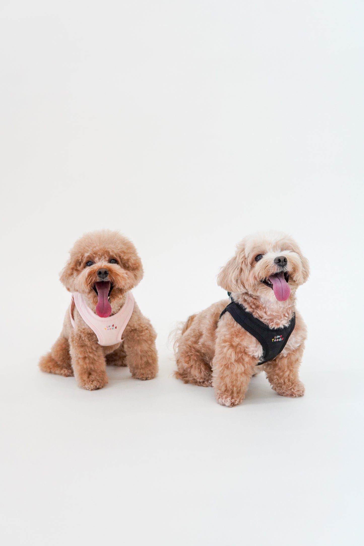 Easy Step Harness