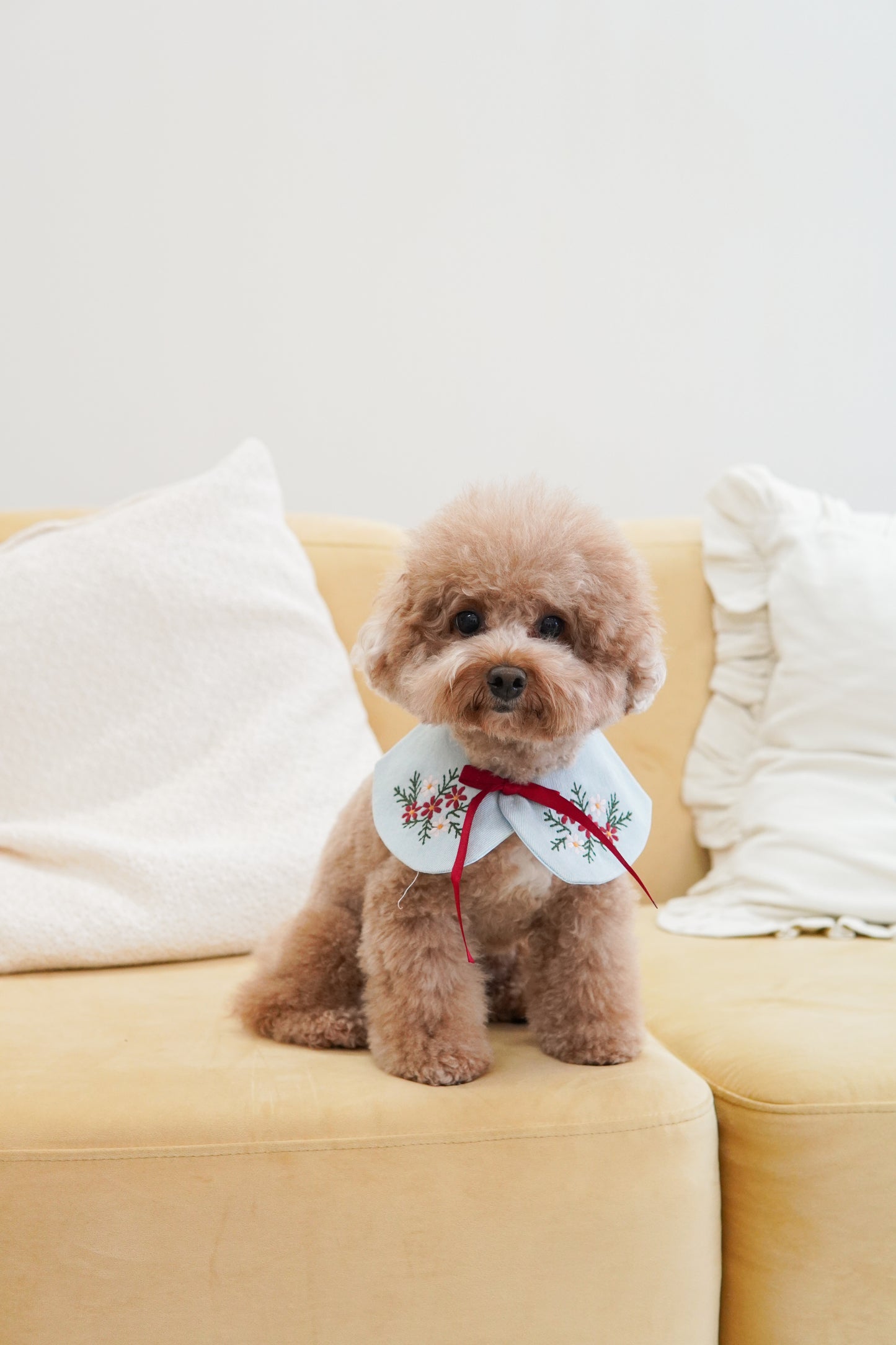 Hana Pet Bib