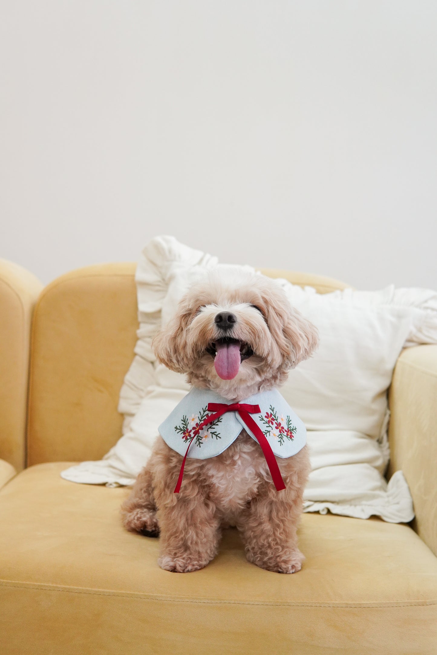 Hana Pet Bib