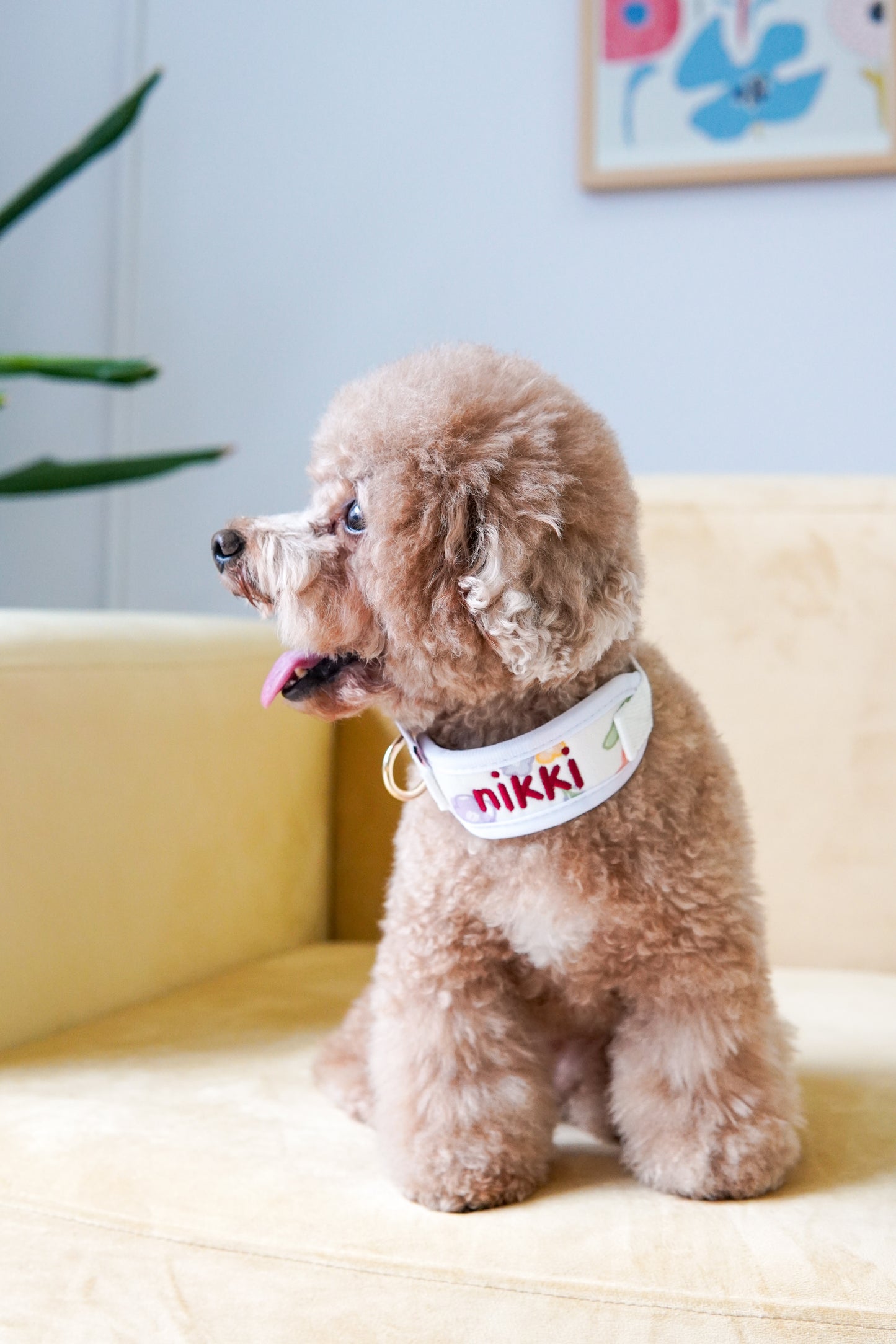Poppy Name Collar