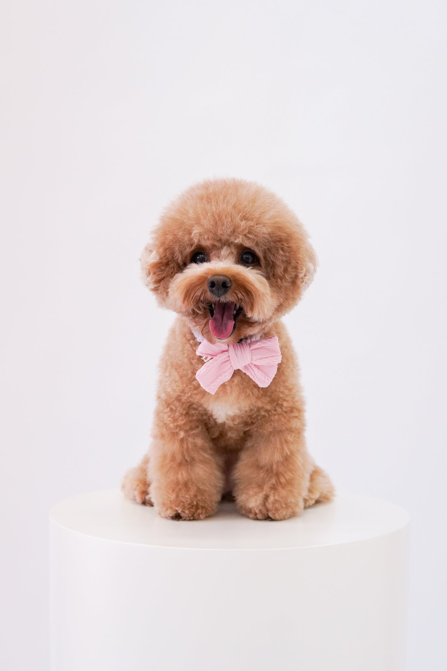 Baby Bows