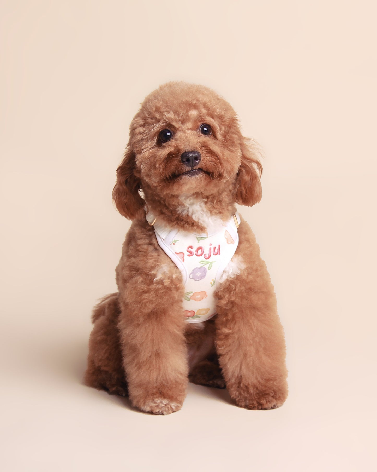 Poppy Harness