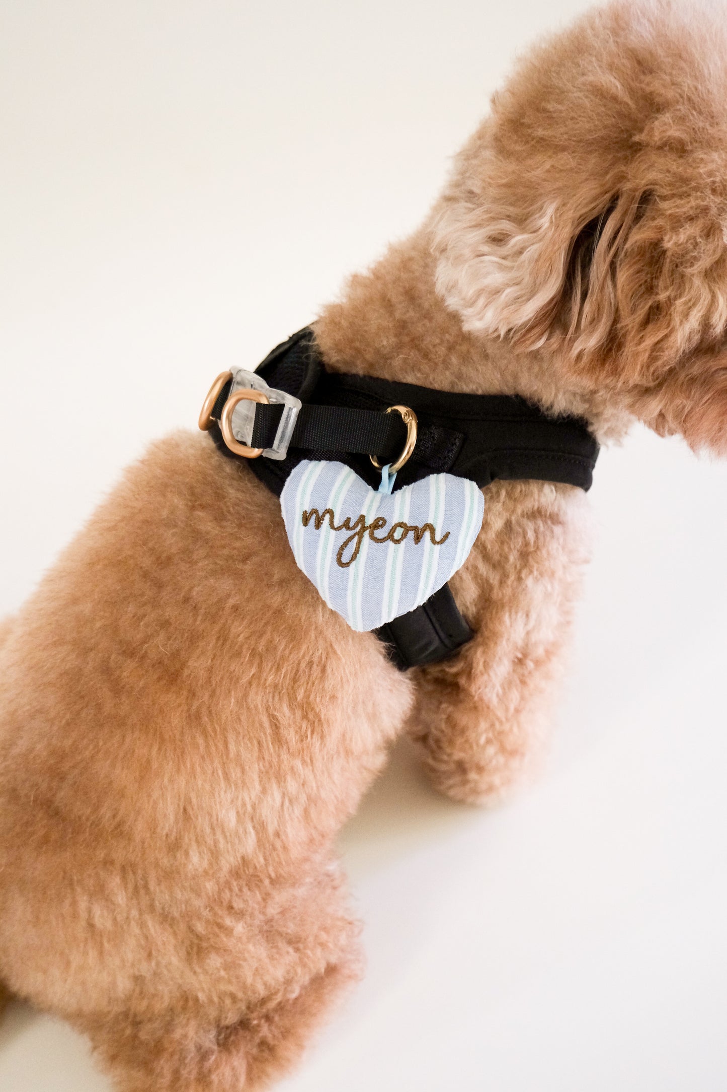 Amor Stripes Heart Tag