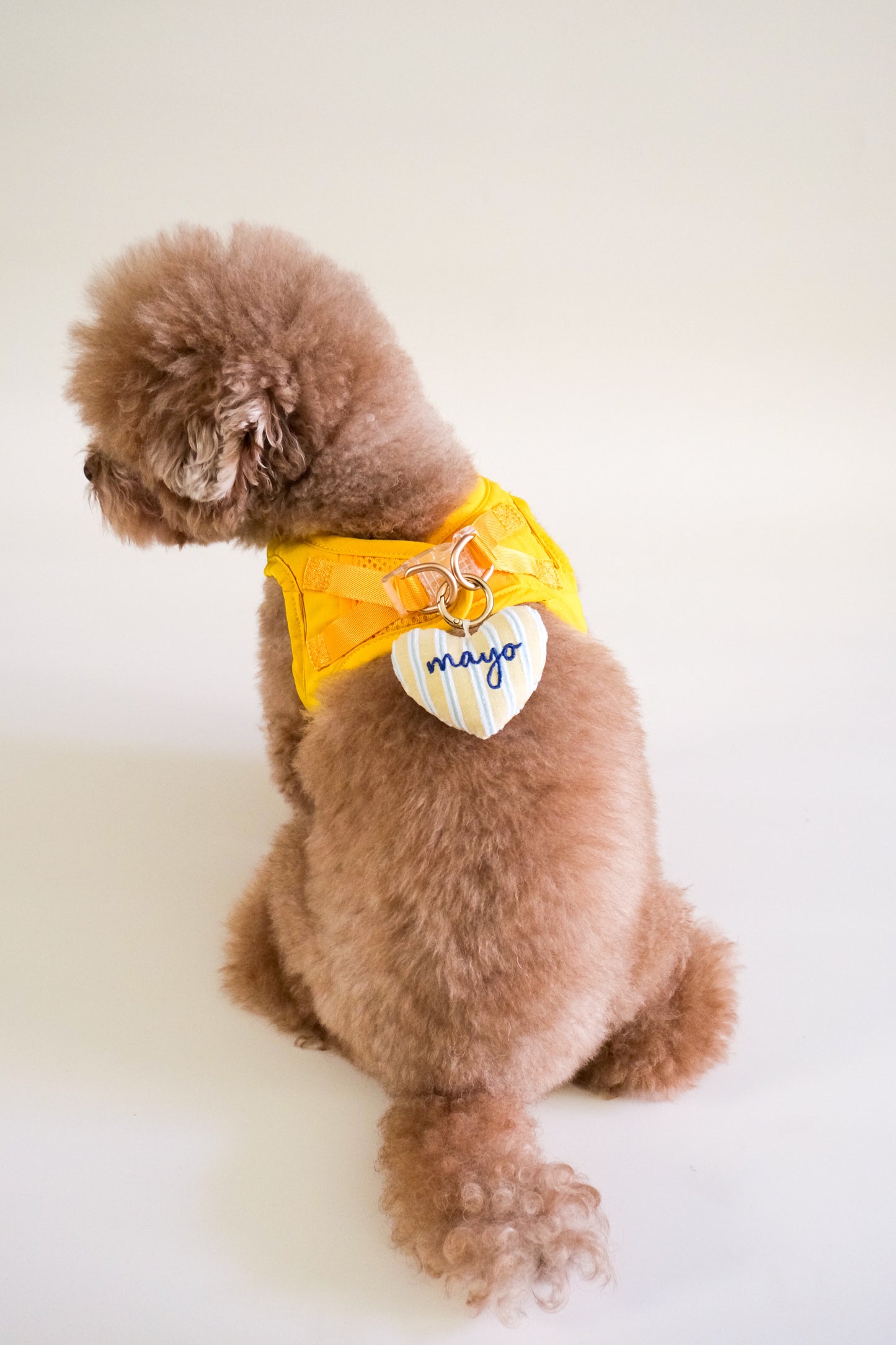 Amor Stripes Heart Tag