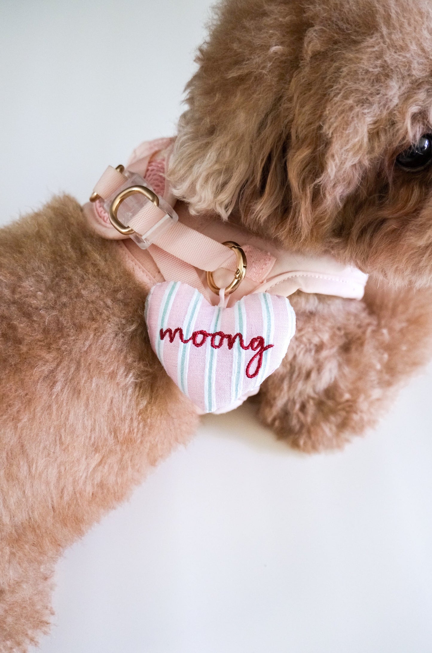 Amor Stripes Heart Tag